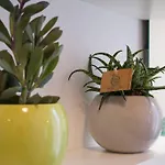 Bauhaus Apartman *